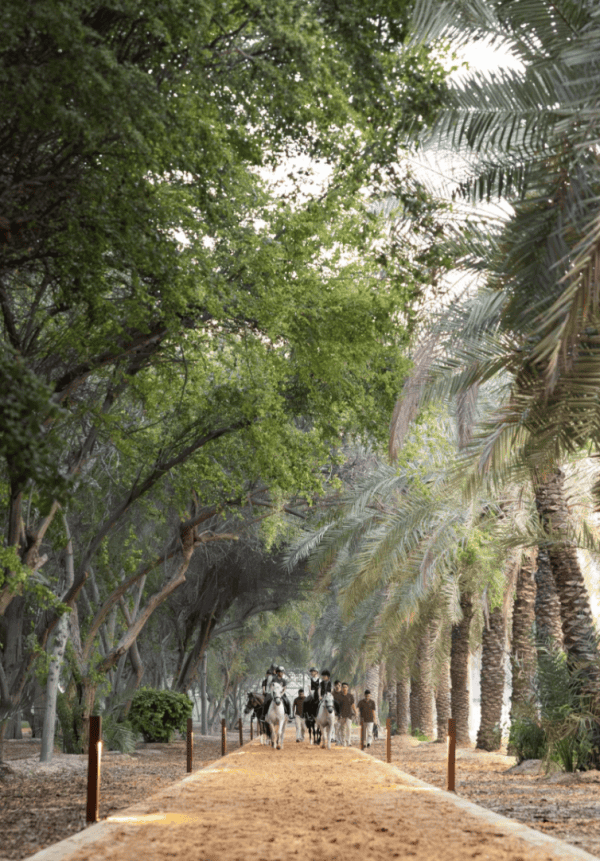 The Royal Stables Abu Dhabi Forest Trail Riding School