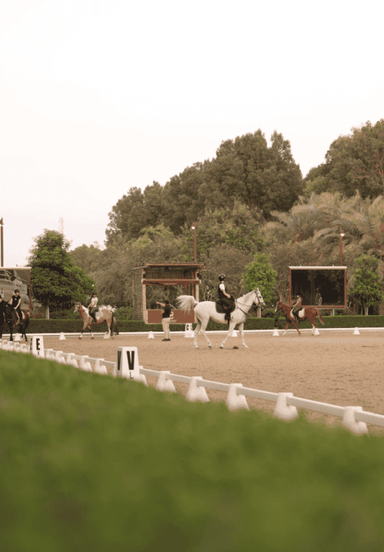 The Royal Stables Abu Dhabi Forest Trail Riding School